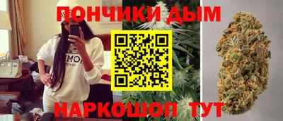 сатива Краснознаменск