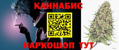 сатива Краснознаменск