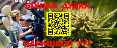 сатива Краснознаменск