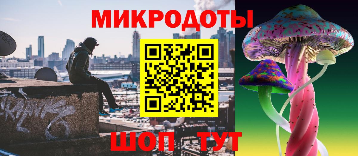 Псилоцибиновые грибы Cubensis  Вход с VPN  Кизляр 